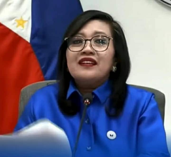 Sara’s Impeachment Articles Now in Plenary